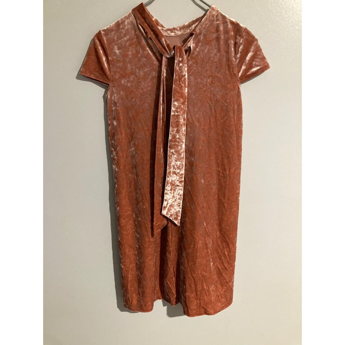 Madewell Dress Womens XXS Pink Velvet Shift Knee Length Keyhole Tie Neck Party