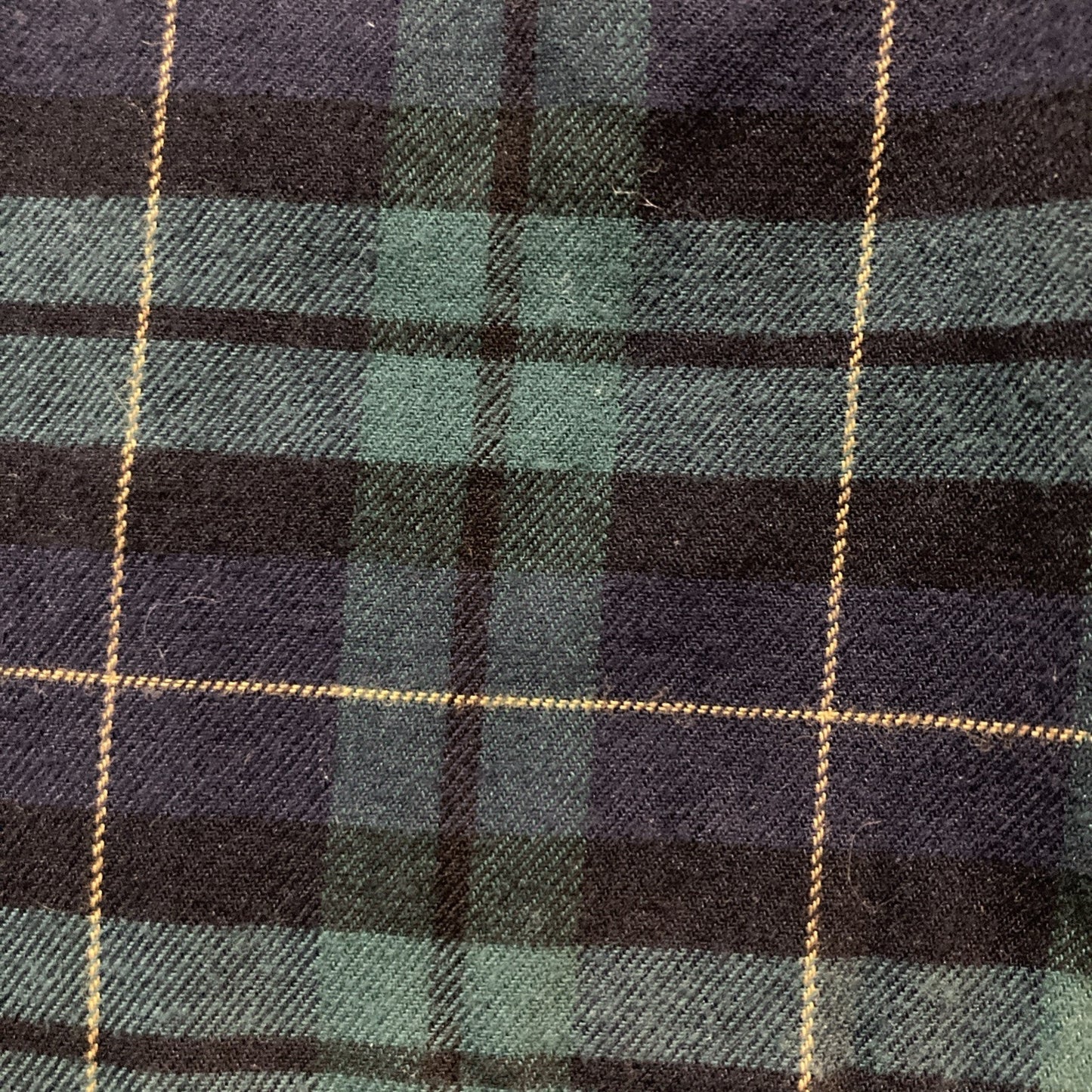 Skater US Polo Assn Flannel Shirt Mens Blue Green Plaid Button Western Casual L