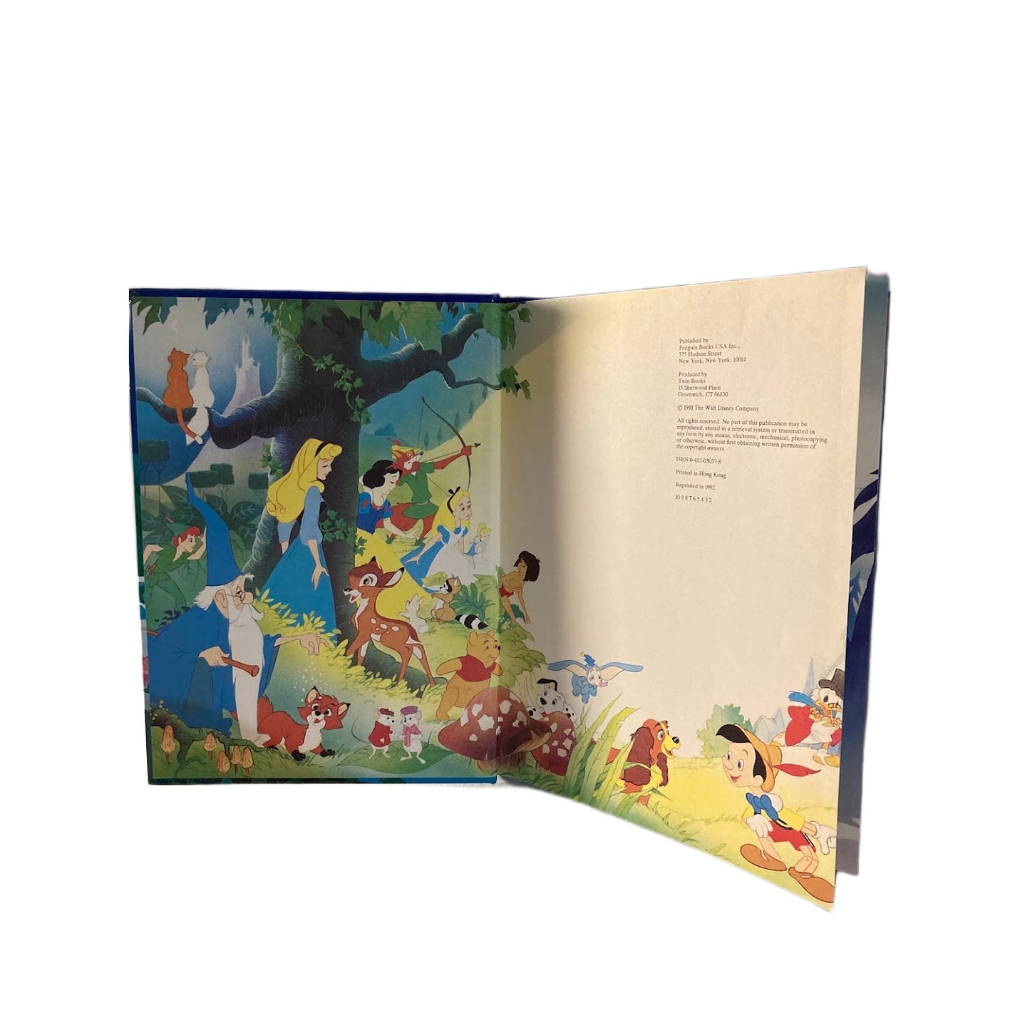 Disney Beauty and the Beast 1991 Hardcover Book Twin Books Classic Series